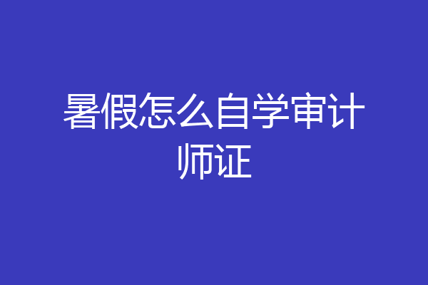 暑假怎么自学审计师证