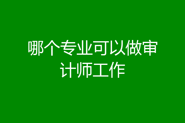 哪个专业可以做审计师工作