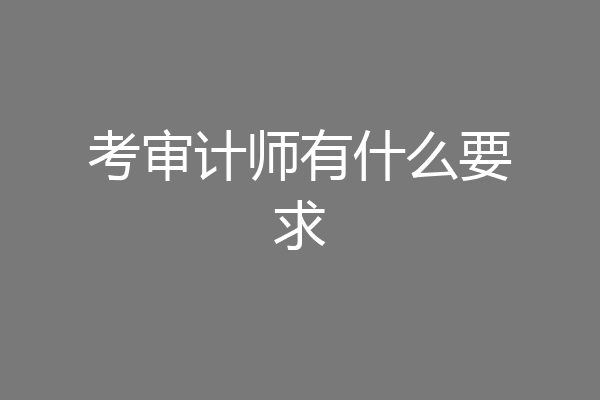 考审计师有什么要求