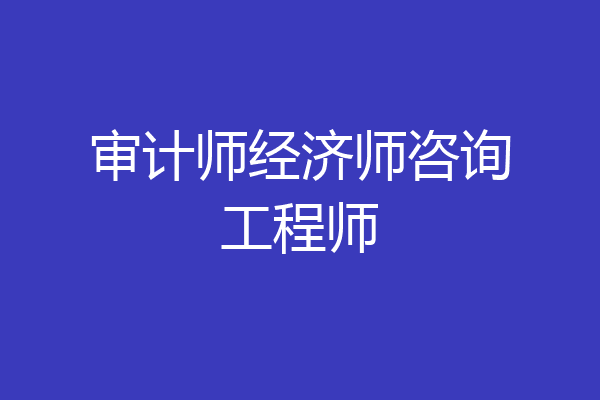 审计师经济师咨询工程师