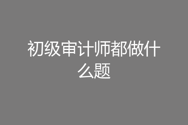初级审计师都做什么题