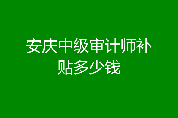 安庆中级审计师补贴多少钱