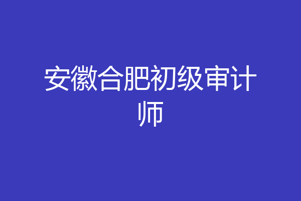 安徽合肥初级审计师