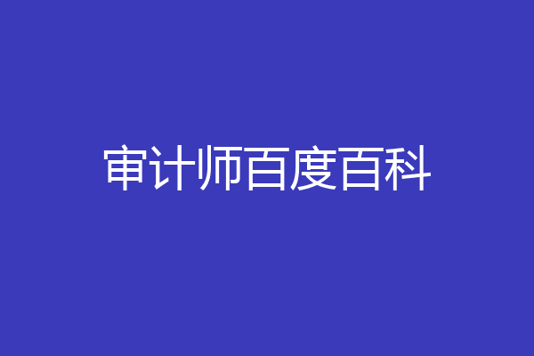 审计师百度百科