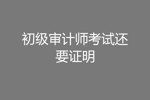 初级审计师考试还要证明