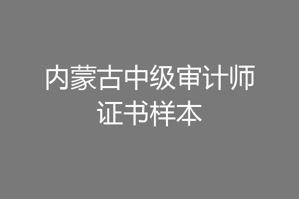 内蒙古中级审计师证书样本