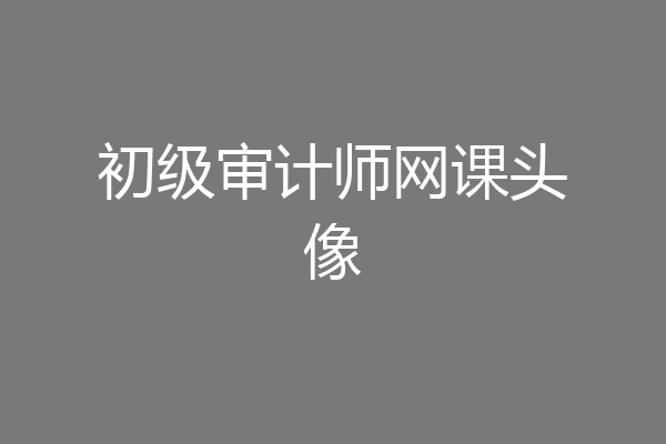 初级审计师网课头像