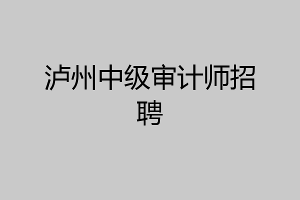 泸州中级审计师招聘
