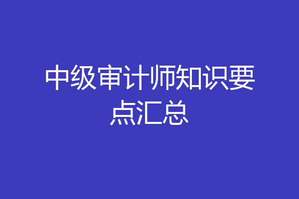 中级审计师知识要点汇总