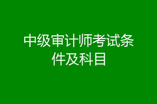 中级审计师考试条件及科目