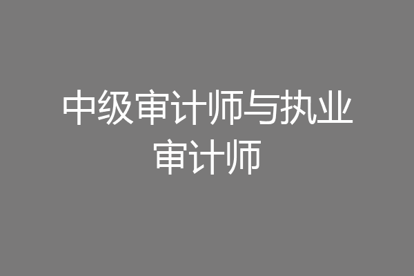 中级审计师与执业审计师