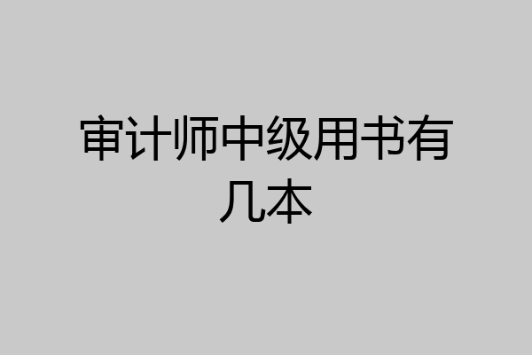 审计师中级用书有几本