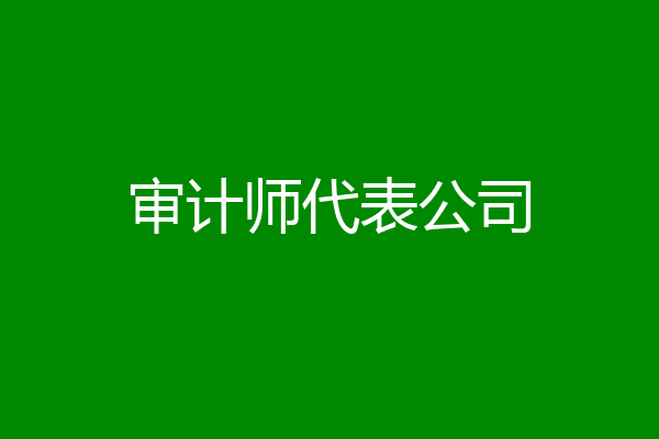 审计师代表公司
