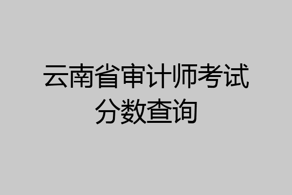 云南省审计师考试分数查询