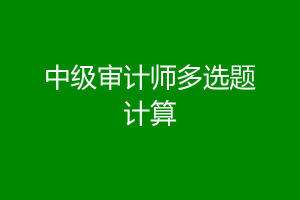 中级审计师多选题计算