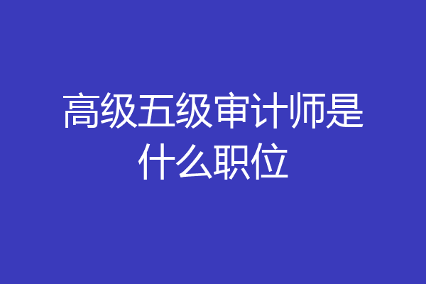 高级五级审计师是什么职位