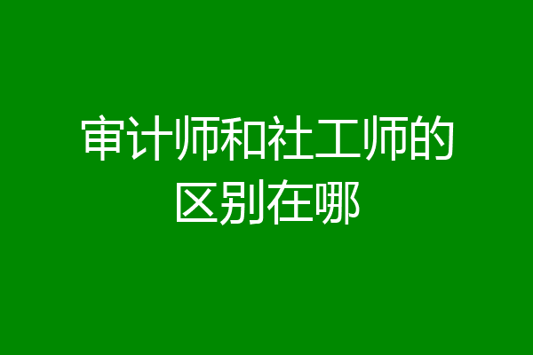 审计师和社工师的区别在哪