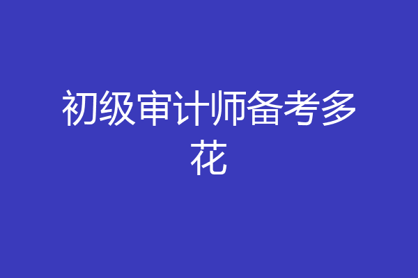 初级审计师备考多花