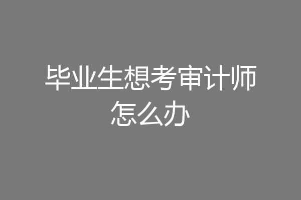 毕业生想考审计师怎么办