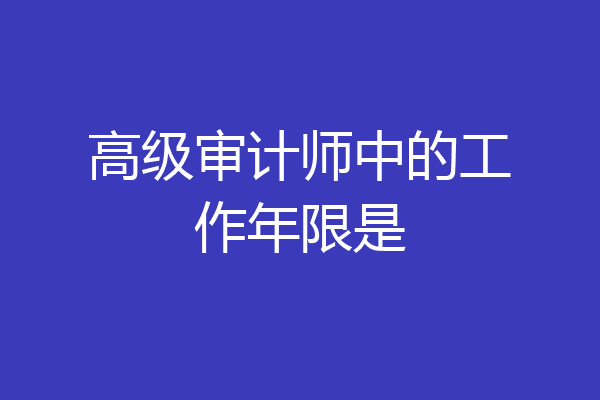 高级审计师中的工作年限是