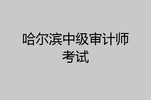 哈尔滨中级审计师考试