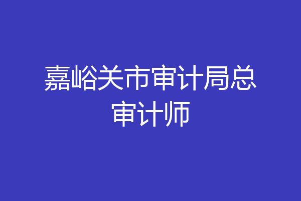 嘉峪关市审计局总审计师