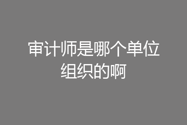 审计师是哪个单位组织的啊