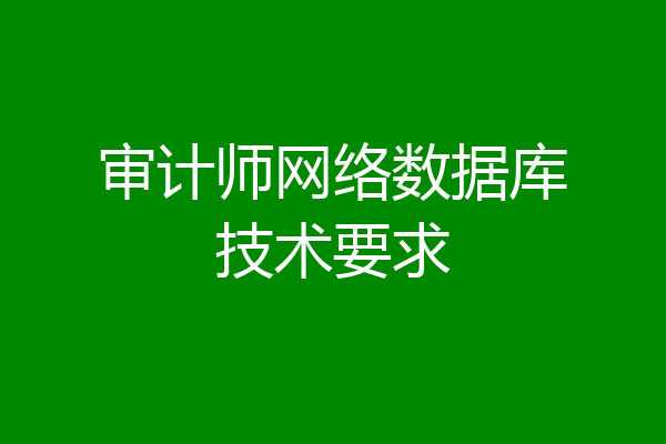 审计师网络数据库技术要求