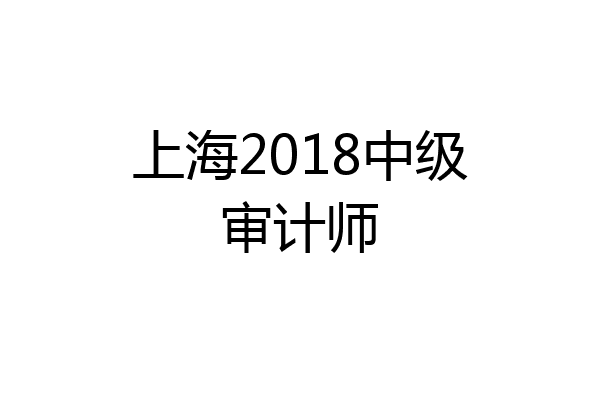 上海2018中级审计师