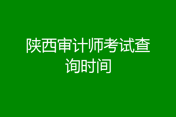 陕西审计师考试查询时间