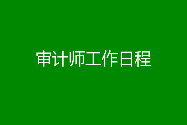 审计师工作日程