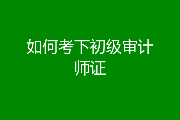 如何考下初级审计师证