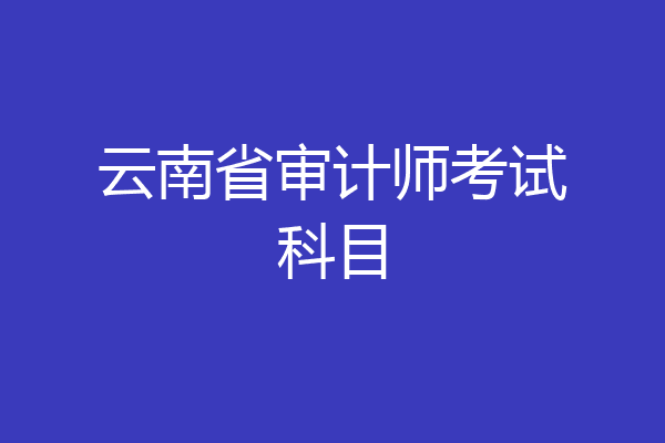 云南省审计师考试科目