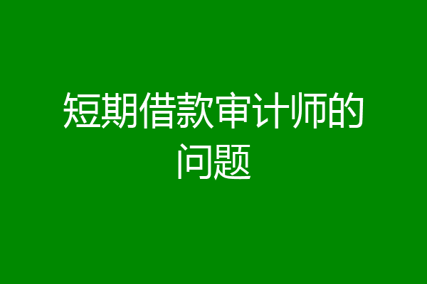 短期借款审计师的问题