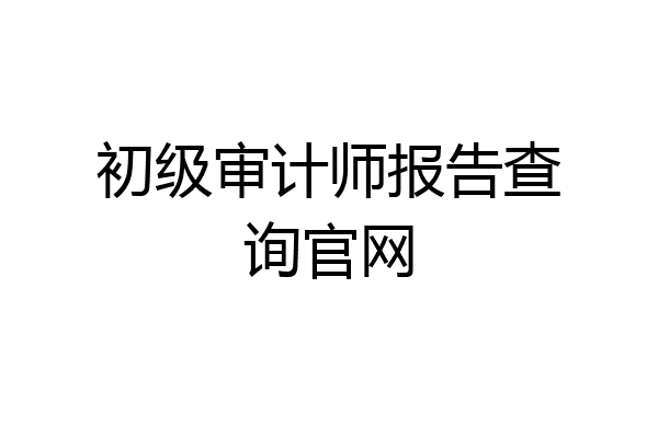 初级审计师报告查询官网