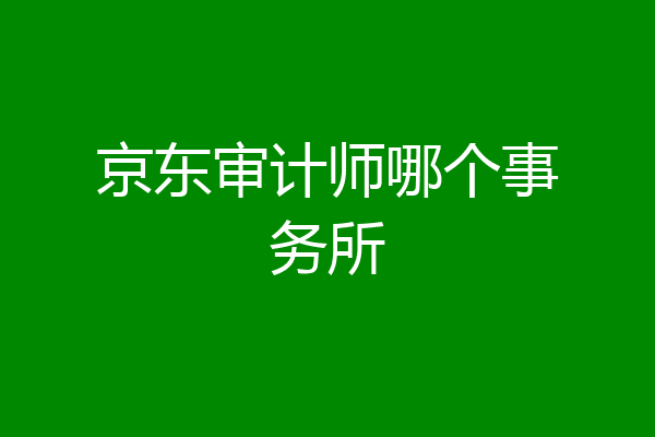 京东审计师哪个事务所