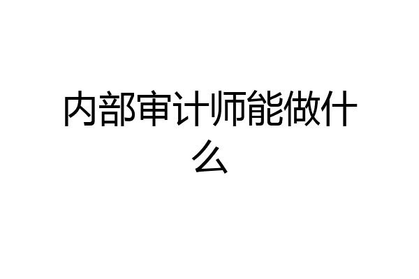 内部审计师能做什么