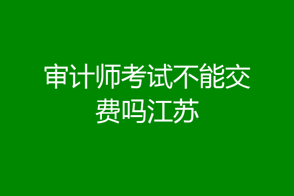 审计师考试不能交费吗江苏