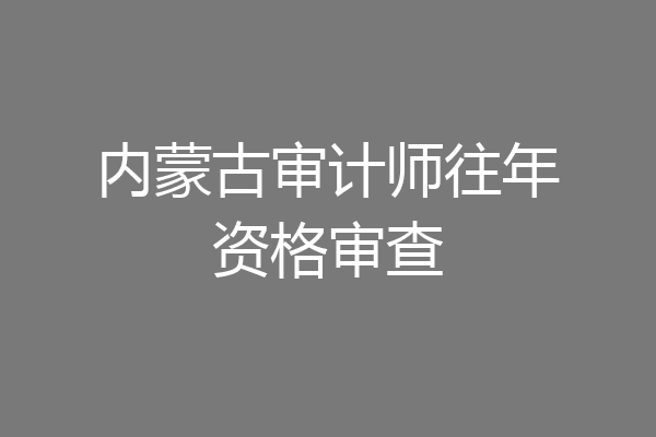 内蒙古审计师往年资格审查