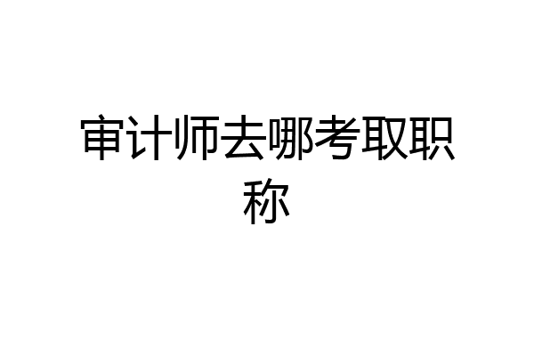 审计师去哪考取职称