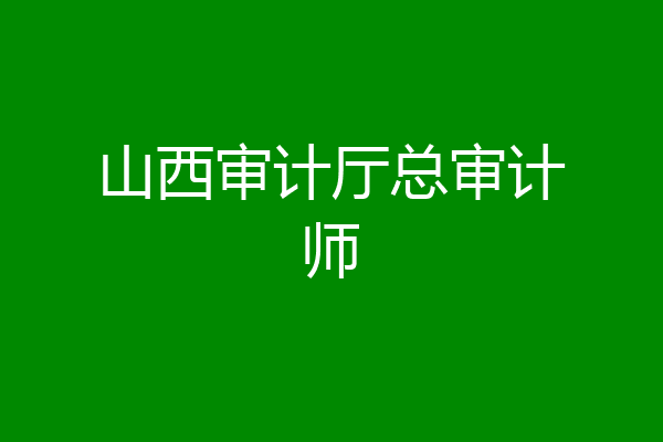 山西审计厅总审计师