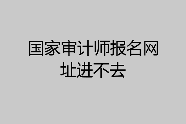 国家审计师报名网址进不去