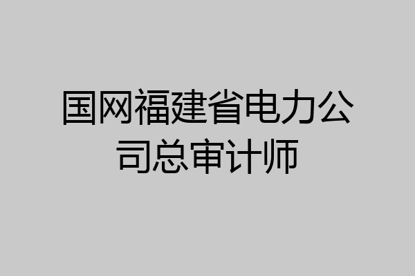 国网福建省电力公司总审计师
