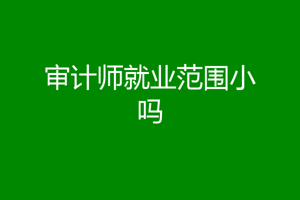 审计师就业范围小吗