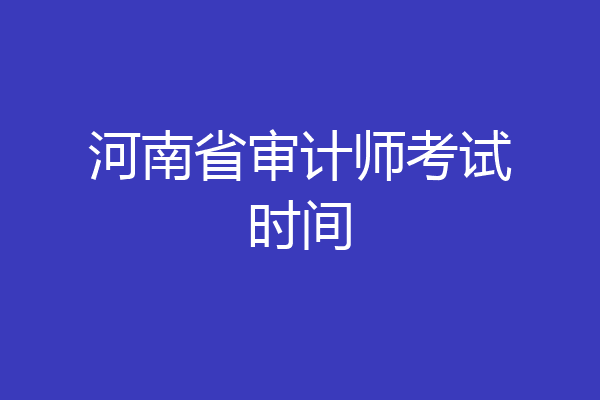 河南省审计师考试时间