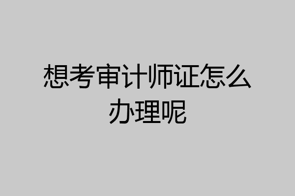 想考审计师证怎么办理呢