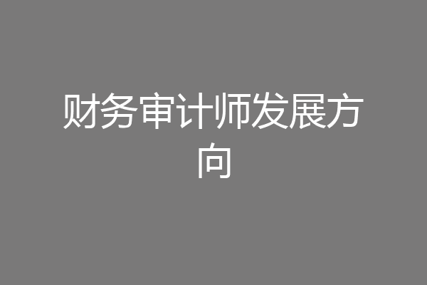 财务审计师发展方向