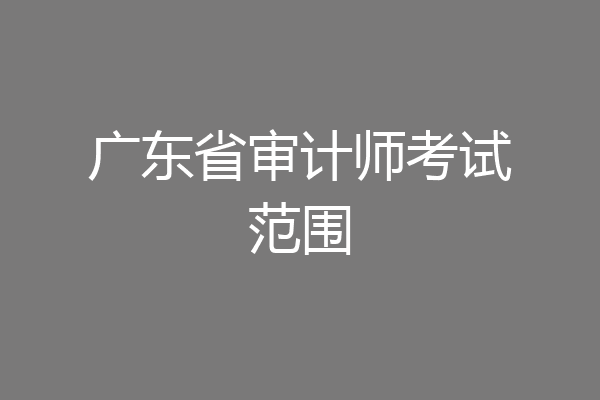 广东省审计师考试范围
