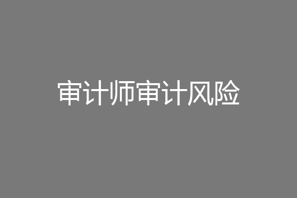 审计师审计风险