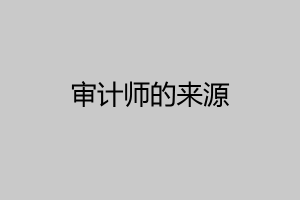 审计师的来源